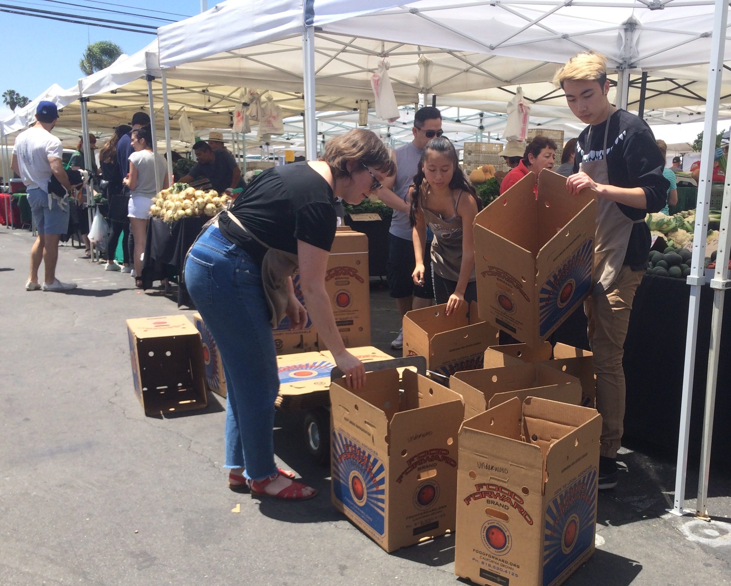Volunteers assemble Food Forward boxes at the Larchmont Farmers Market