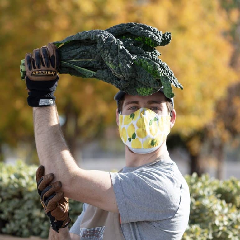 A man wears a face mask and holds a bunch of kale above his head.
